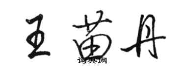 駱恆光王苗丹行書個性簽名怎么寫