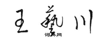 駱恆光王藝川草書個性簽名怎么寫