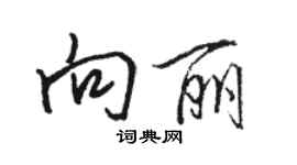 駱恆光向麗行書個性簽名怎么寫