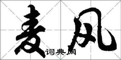 胡問遂麥風行書怎么寫