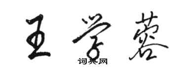 駱恆光王學蓉行書個性簽名怎么寫