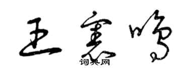 曾慶福王憲鳴草書個性簽名怎么寫