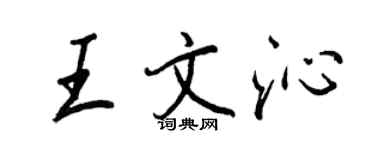王正良王文沁行書個性簽名怎么寫