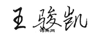 駱恆光王駿凱行書個性簽名怎么寫