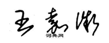 朱錫榮王嘉微草書個性簽名怎么寫