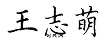 丁謙王志萌楷書個性簽名怎么寫