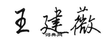 駱恆光王建薇行書個性簽名怎么寫