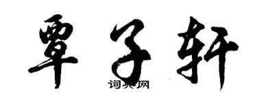 胡問遂覃子軒行書個性簽名怎么寫