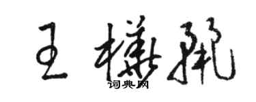 駱恆光王樺麗草書個性簽名怎么寫