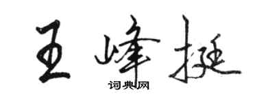駱恆光王峰挺行書個性簽名怎么寫