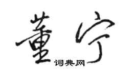 駱恆光董寧行書個性簽名怎么寫
