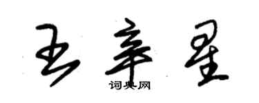 朱錫榮王辛星草書個性簽名怎么寫