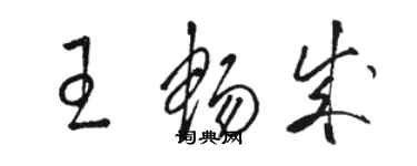 駱恆光王暢成草書個性簽名怎么寫