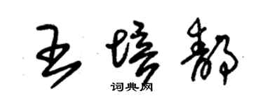 朱錫榮王培靜草書個性簽名怎么寫