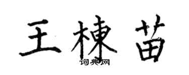 何伯昌王棟苗楷書個性簽名怎么寫
