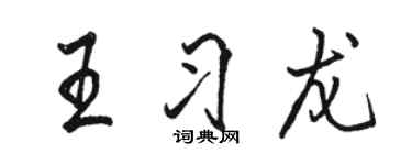 駱恆光王習龍行書個性簽名怎么寫