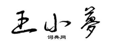 曾慶福王小夢草書個性簽名怎么寫