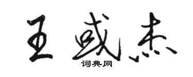 駱恆光王或傑行書個性簽名怎么寫