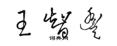 駱恆光王智豐草書個性簽名怎么寫