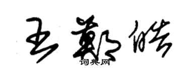 朱錫榮王鄭皓草書個性簽名怎么寫