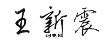 駱恆光王新震行書個性簽名怎么寫