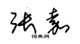 朱錫榮張嘉草書個性簽名怎么寫