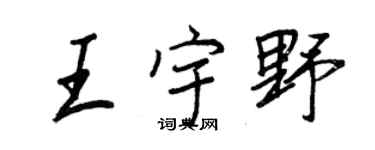 王正良王宇野行書個性簽名怎么寫