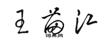 駱恆光王苗江草書個性簽名怎么寫