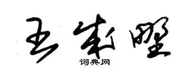 朱錫榮王成野草書個性簽名怎么寫