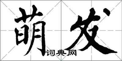 翁闓運萌發楷書怎么寫