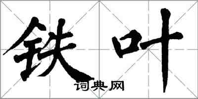 翁闓運鐵葉楷書怎么寫