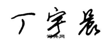 朱錫榮丁宇晨草書個性簽名怎么寫