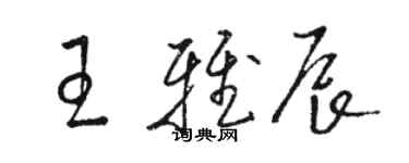 駱恆光王雅辰草書個性簽名怎么寫