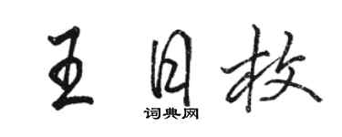 駱恆光王日枚行書個性簽名怎么寫