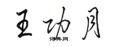 駱恆光王功月行書個性簽名怎么寫