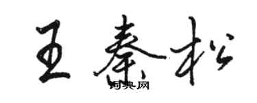 駱恆光王秦松行書個性簽名怎么寫