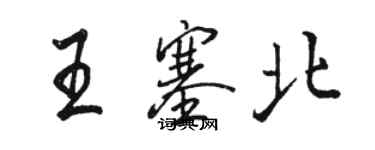 駱恆光王塞北行書個性簽名怎么寫