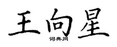 丁謙王向星楷書個性簽名怎么寫