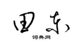 梁錦英田東草書個性簽名怎么寫
