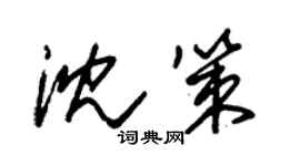 朱錫榮沈策草書個性簽名怎么寫