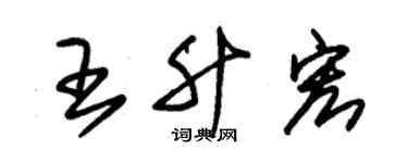 朱錫榮王升宏草書個性簽名怎么寫
