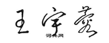 駱恆光王宇蓉草書個性簽名怎么寫