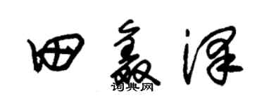 朱錫榮田鑫澤草書個性簽名怎么寫