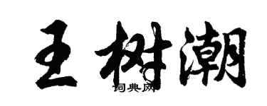 胡問遂王樹潮行書個性簽名怎么寫
