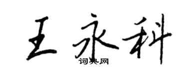 王正良王永科行書個性簽名怎么寫