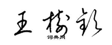 梁錦英王樹欽草書個性簽名怎么寫