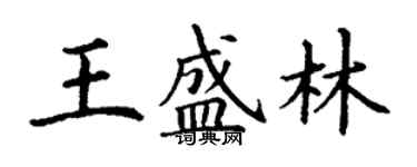 丁謙王盛林楷書個性簽名怎么寫