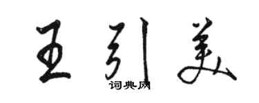 駱恆光王引美行書個性簽名怎么寫