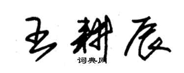 朱錫榮王耕辰草書個性簽名怎么寫