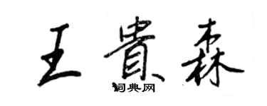 王正良王貴森行書個性簽名怎么寫